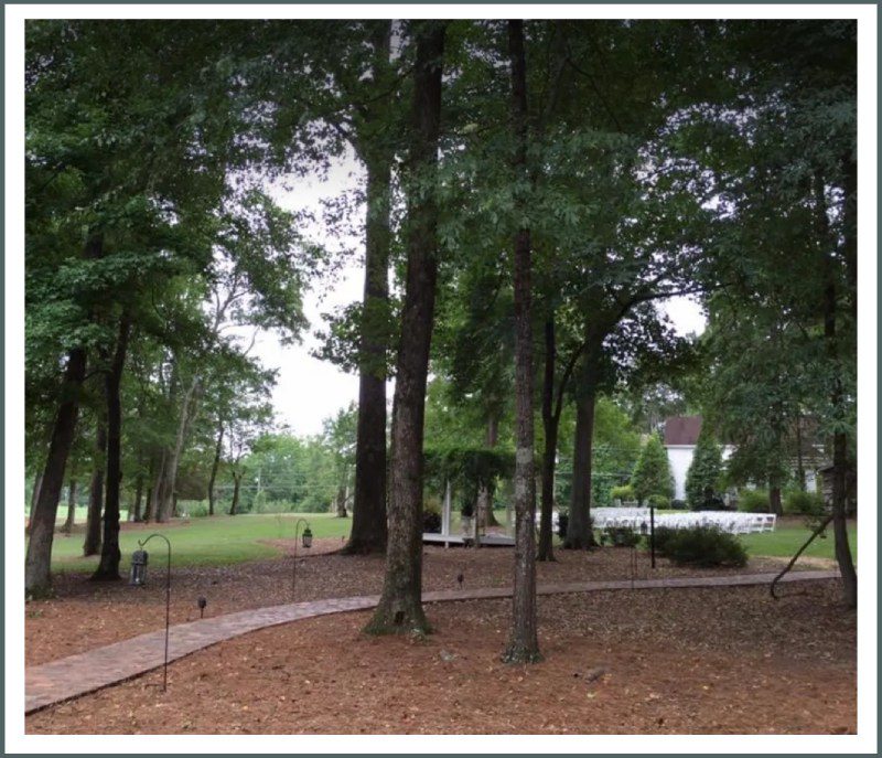 A park with many trees and grass